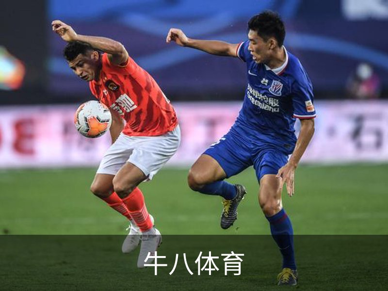 牛八体育简介
